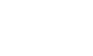 Nightcat-min