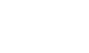 lime leaf-min