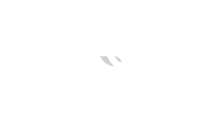 vision-min